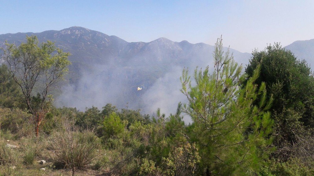 Antalya Gündoğmuş’ta Orman Yangını