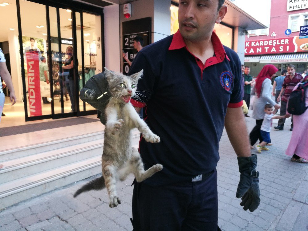 Motora Sıkışan Kediyi İtfaiye Kurtardı