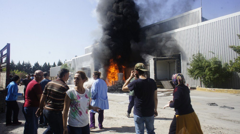 Manisa’da 400 Kişinin Çalıştığı İşletmede Yangın Çıktı