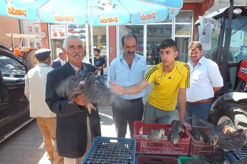 Malazgirt’te Hindi Satışları Başladı