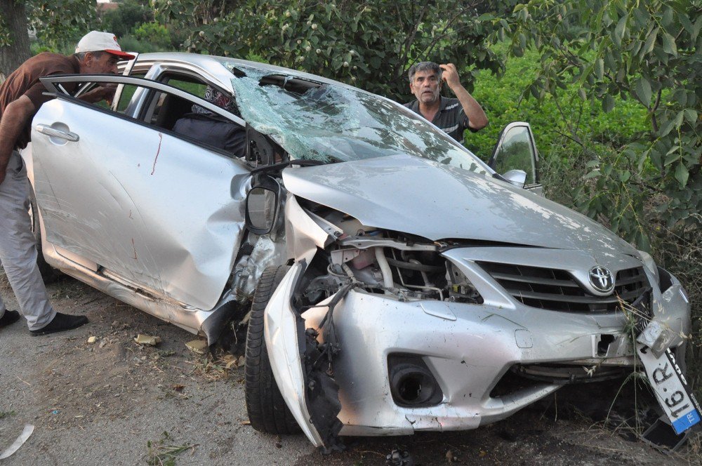 Tarlaya Uçan Otomobilde Can Pazarı