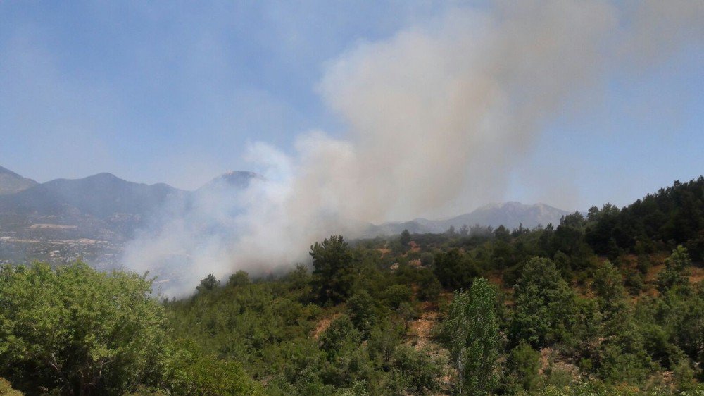 Antalya Gündoğmuş’ta Orman Yangını