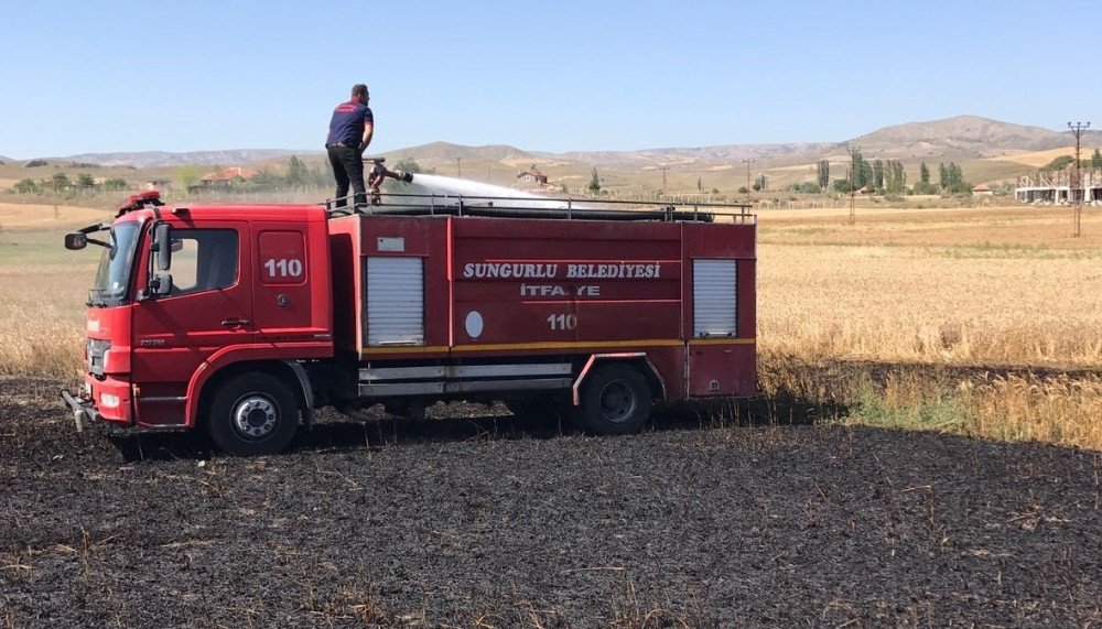 Sungurlu’da Buğday Ekili Tarla Yandı