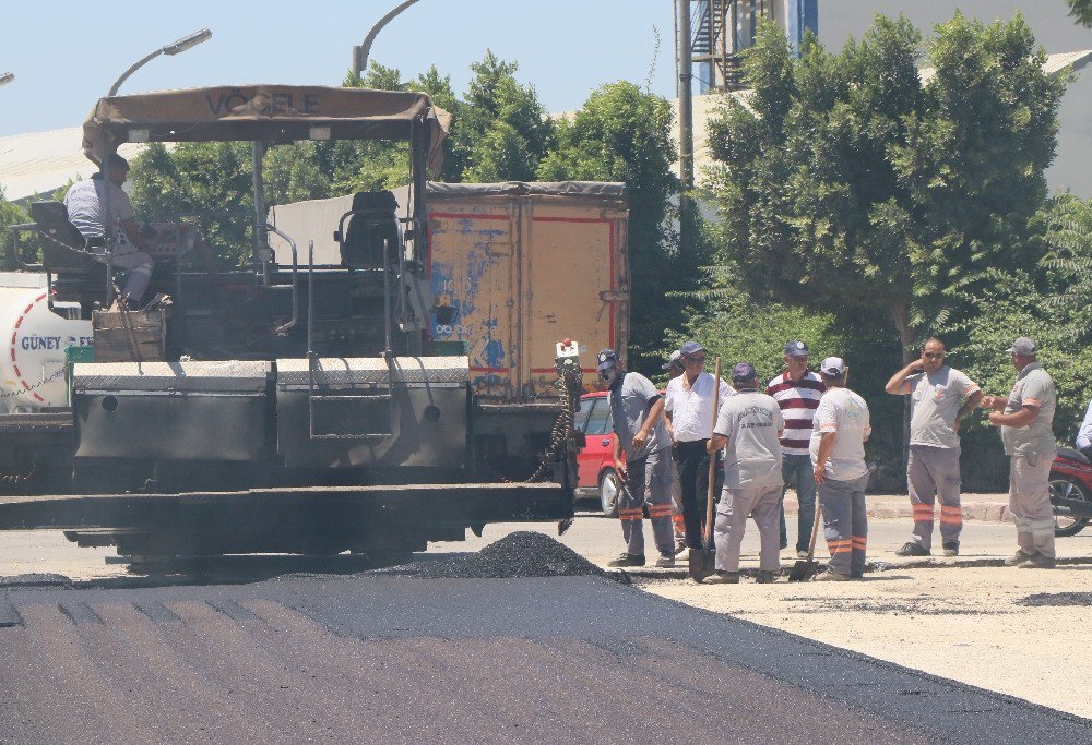 Asfalt İşçilerinin Çöl Sıcağında Ekmek Mücadelesi