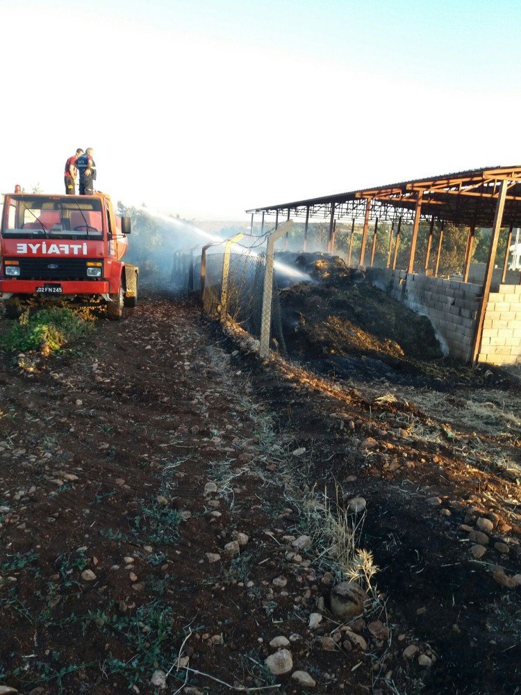 Anız Yangınında Hayvanlar Telef Oldu