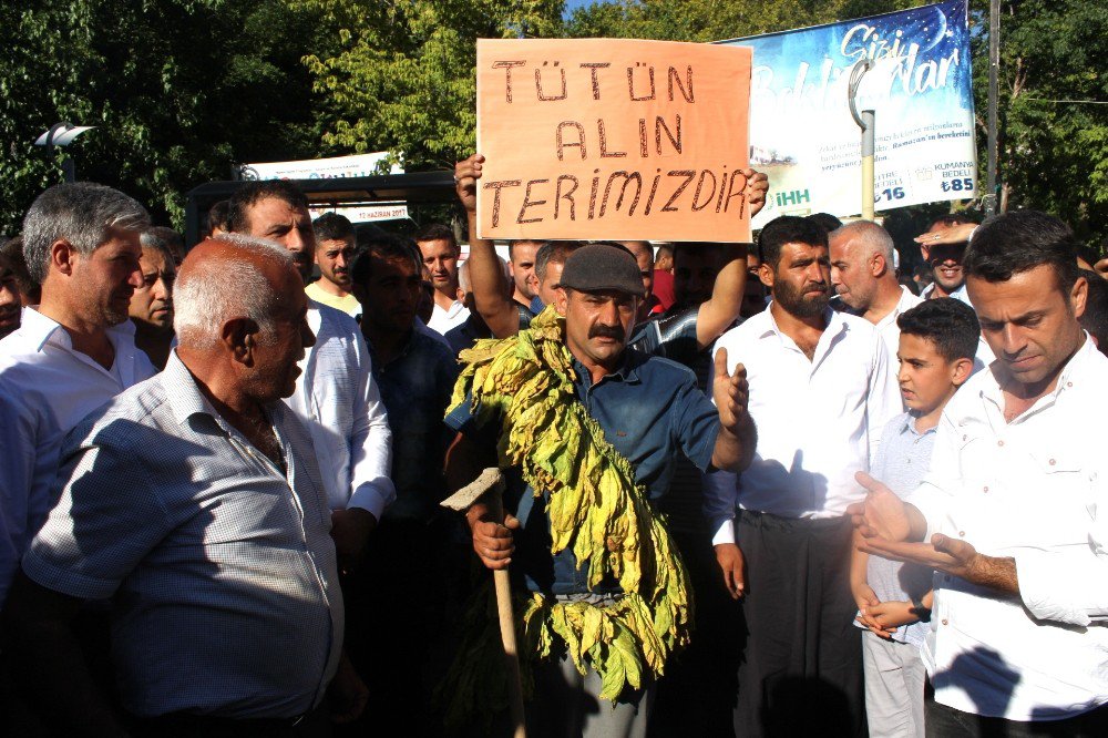 Tütün Protestosunda Gerginlik Yaşandı