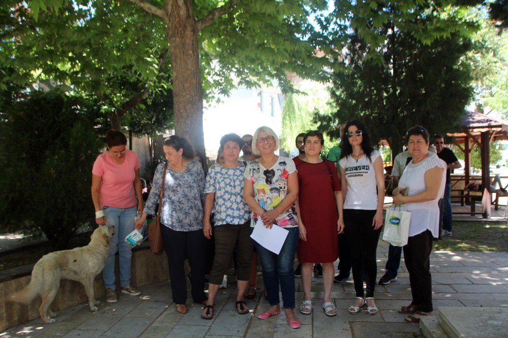 Bilecik’te Hayvanları Koruma Kanunu’ndaki Değişiklik Tasarısı Protesto Edildi