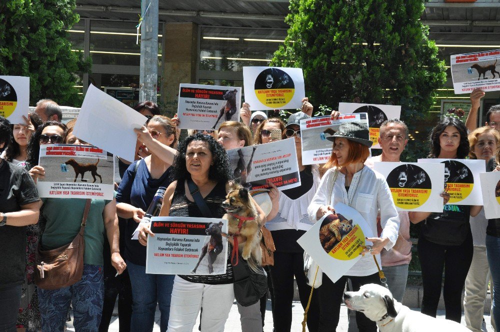 Hayvanları Koruma Kanunundaki Değişiklik Tasarısı Protesto Edildi