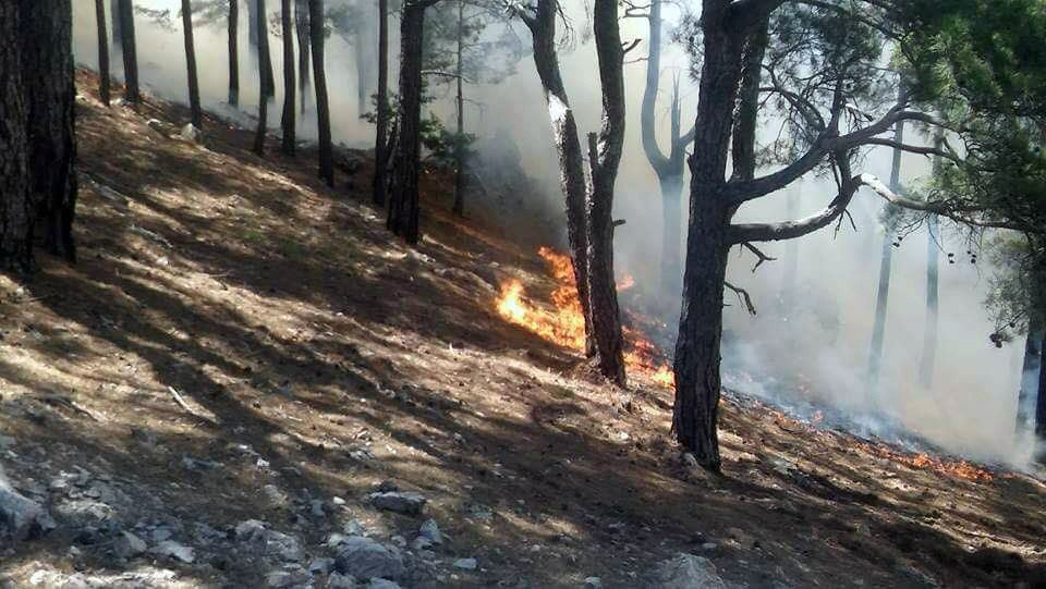 Anamur’daki Orman Yangını Devam Ediyor, Evler Boşaltıldı