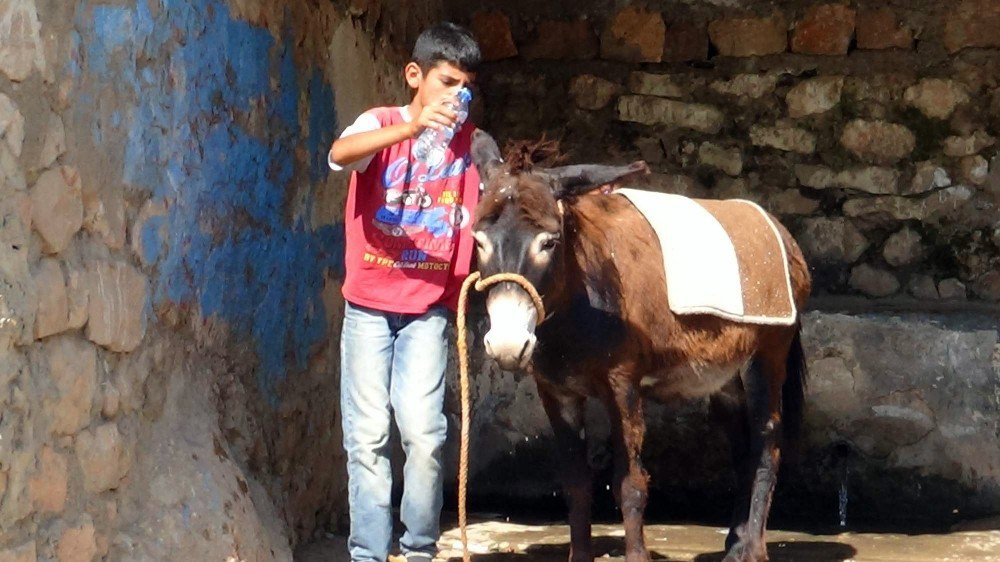 Siirt’te Sıcaklar Bunaltıyor