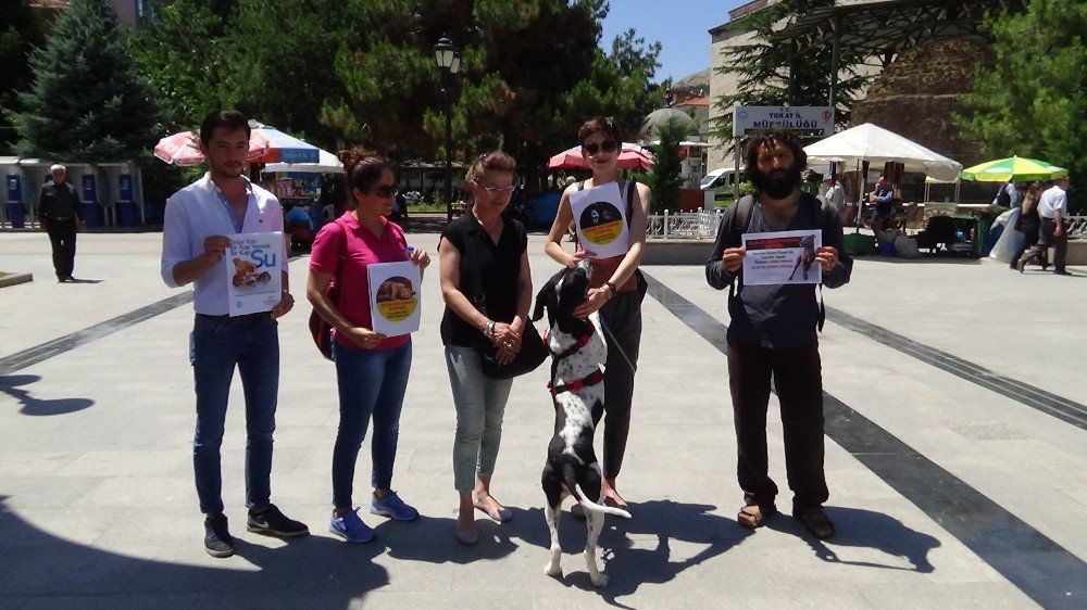 Tokat’ta, Hayvan Hakları Savunucularından Yasa Tasarısı Tepkisi