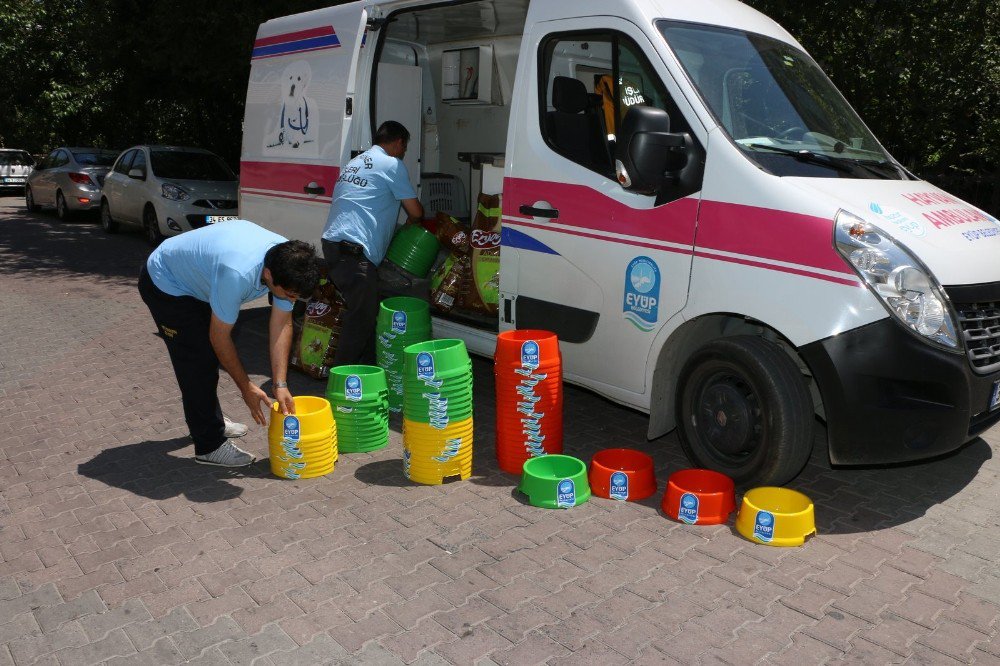 Eyüp Belediyesi Sokak Hayvanları İçin Su Kabı Dağıttı