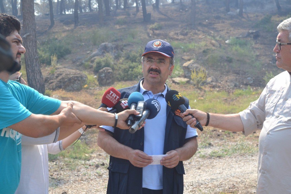 İzmir’deki Yangında Şu Ana Kadar 500 Hektarlık Alan Zarar Gördü