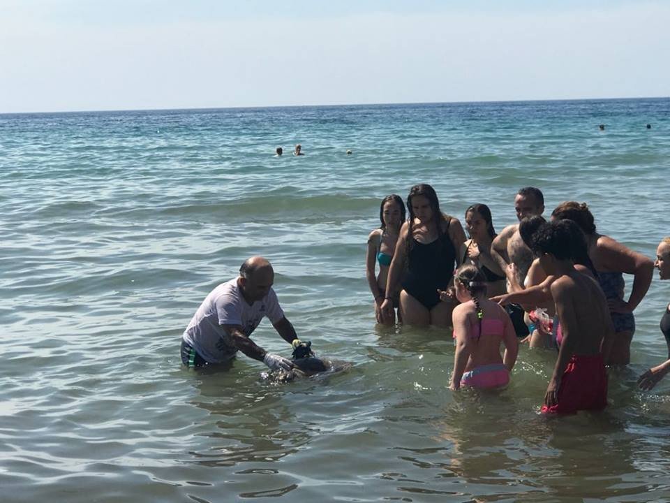 Kuşadası’nda Caretta Caretta Seferberliği