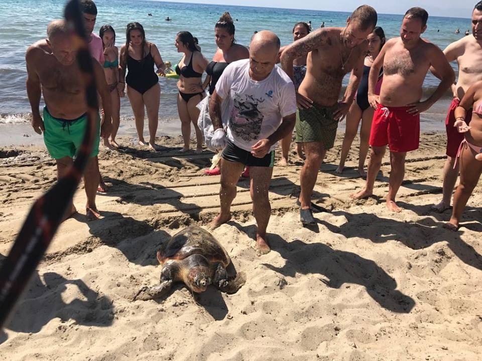 Kuşadası’nda Caretta Caretta Seferberliği