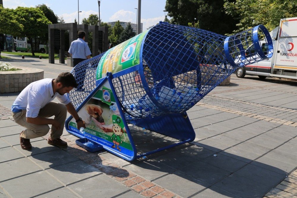 Melikgazi Belediyesi Sokak Hayvanlarını Unutmadı