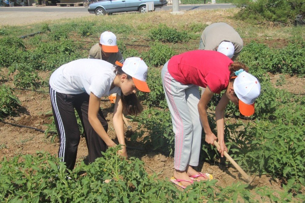 Burhaniye’ De Öğrencilere Yaz Kampı Başlıyor