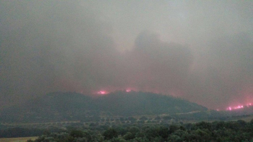 Denizli’de Orman Yangını