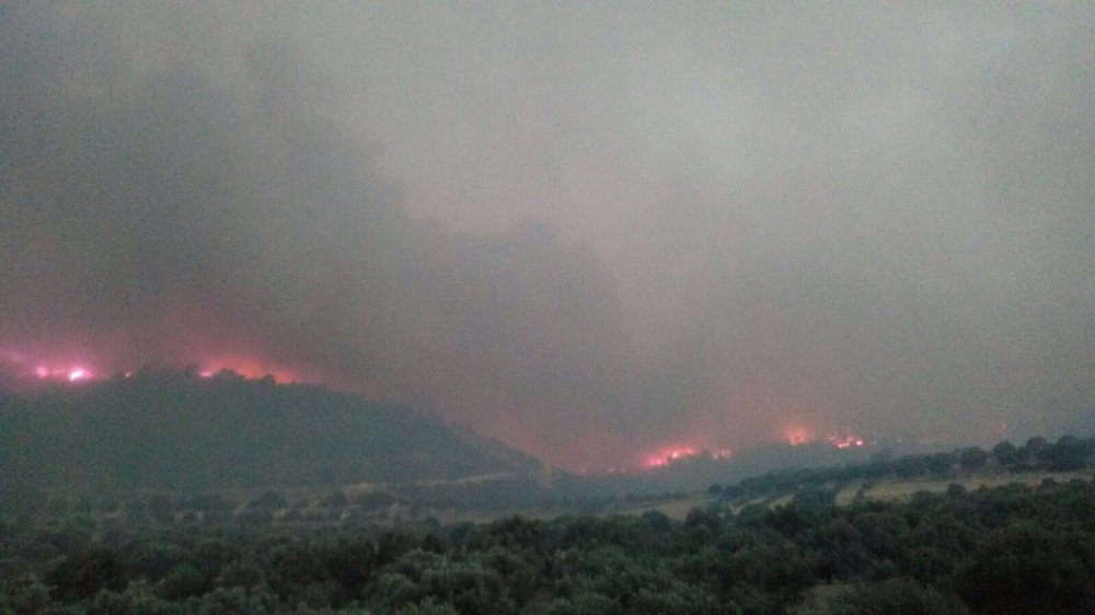 Denizli’de Orman Yangını