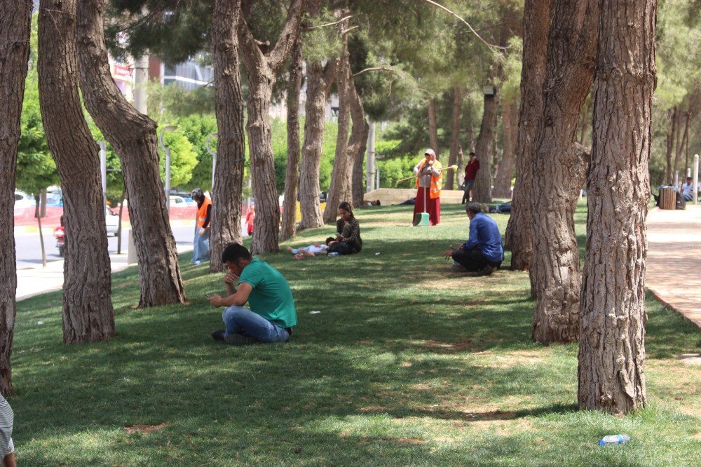 Mardin’de Sıcaklık Arttı, Vatandaşlar Parkları Mesken Tuttu