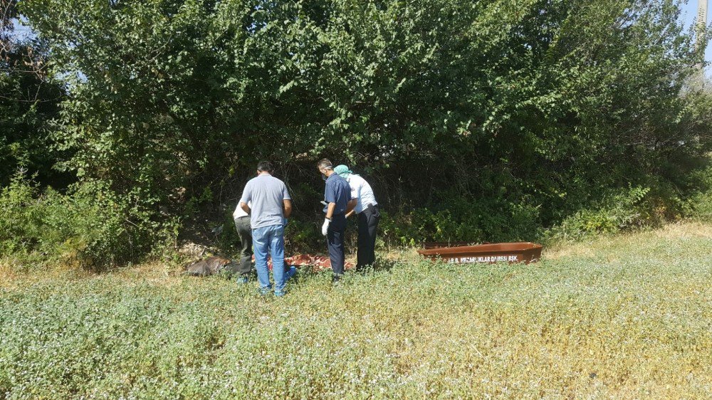 İzmir’de Boş Arazide Erkek Cesedi Bulundu