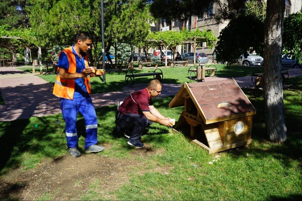 Sokak Hayvanları İçin Park Ve Bahçelere Suluk Yerleştirildi