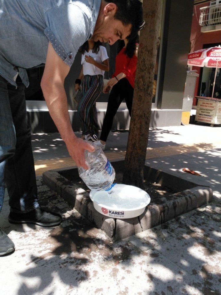 Bir Kap Su Yaşamdır