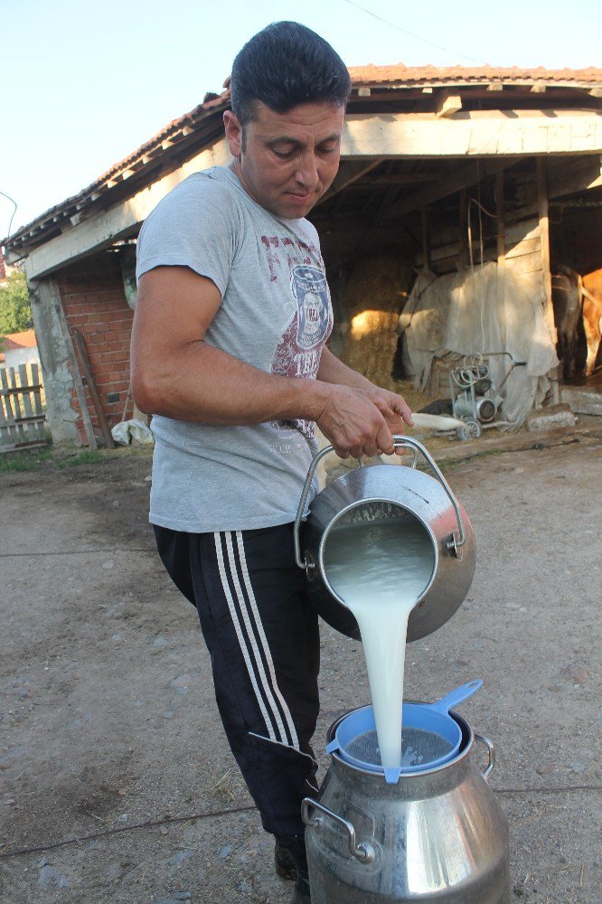 Süte Yapılan Zam Üreticiyi Memnun Etmedi