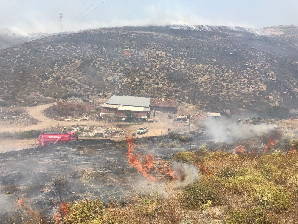 Avşa’da Arazi Yangını