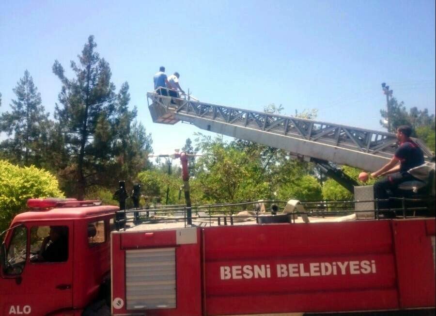 Ağaçta Mahsur Kalan Papağanı İtfaiye Kurtardı