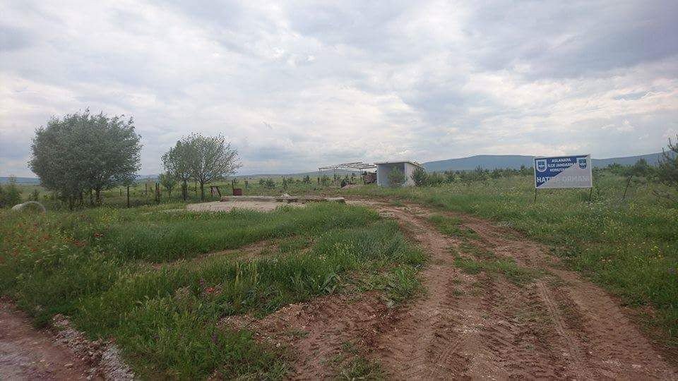 Aslanapa Belediyesinden Çobanlara Özel Hizmet