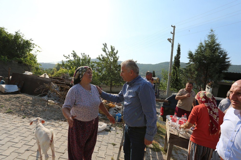 Başkan Zolan: “Yangının Yaralarını Saracağız”