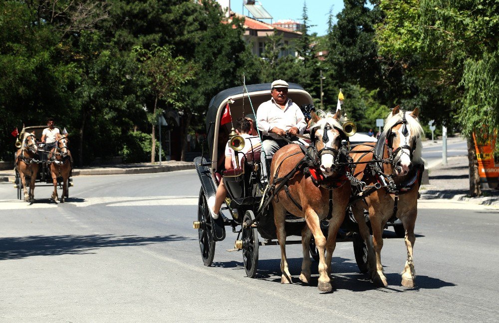 Filistinli Milli Sporcular Faytonla Talas’ı Gezdi