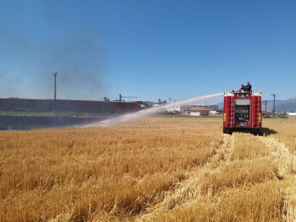 20 Bin Çiftçiye "Anız Yakmayın" Mektubu