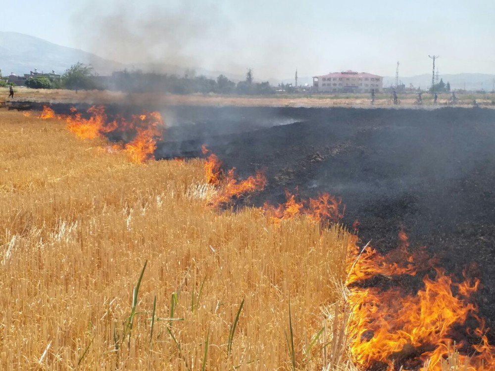 20 Bin Çiftçiye "Anız Yakmayın" Mektubu