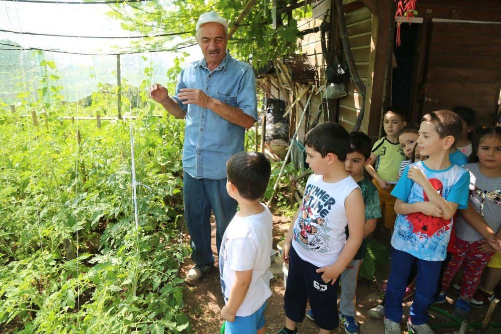 Minikler Toprakla Buluştu