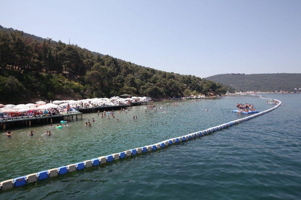 Kartal Belediyesi Büyükada Sosyal Tesisleri’ne Halktan Yoğun İlgi