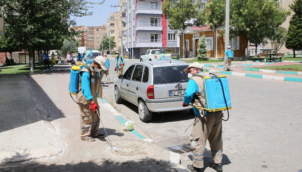 Haliliye’de İlaçlama Çalışmaları Aralıksız Sürüyor