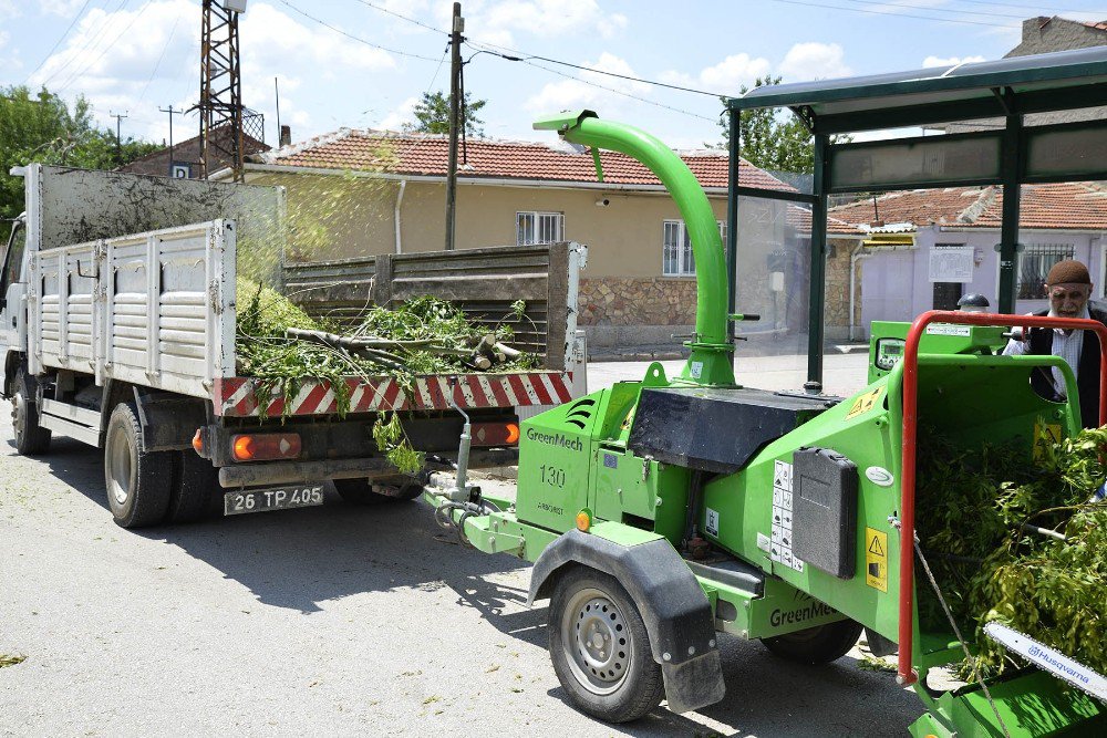 Tepebaşı’nda Dal Budama Çalışmaları Sürüyor