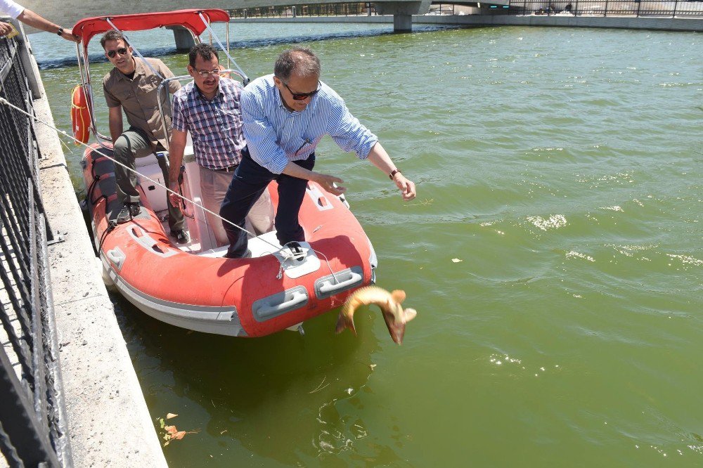 Avlu Balıkesir’de Balık Tutma Keyfi Başlıyor