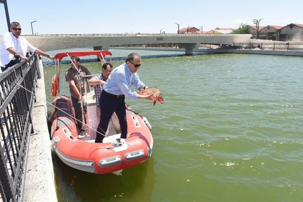 Avlu Balıkesir’de Balık Tutma Keyfi Başlıyor