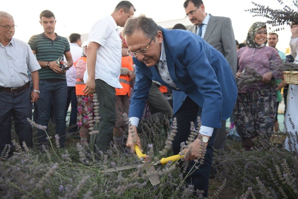 Çiftçi Eğitim Merkezi’nde İlk Hasat Başkan Uğur’dan