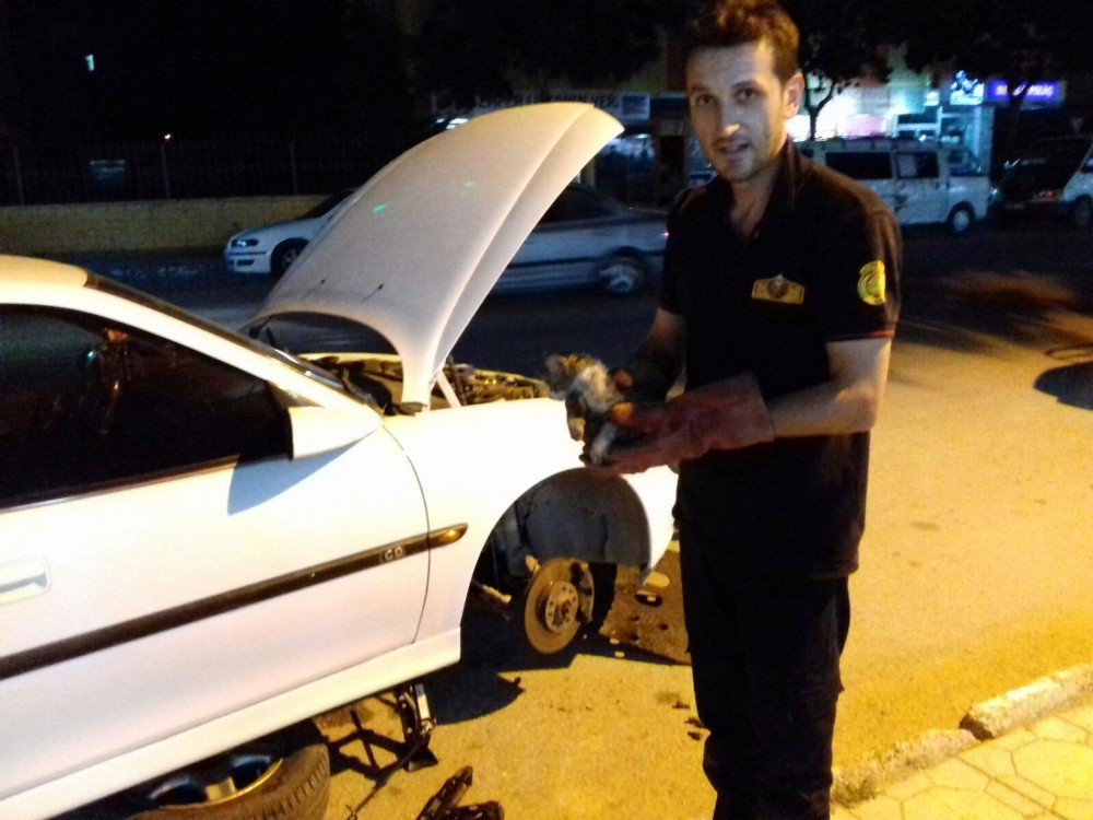 Otomobilin Motor Bölümüne Sıkışan Kedi, 2 Saatte Kurtarıldı