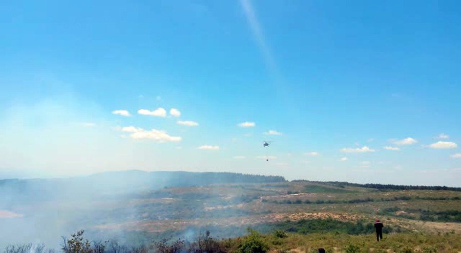 Tekirdağ’da Orman Yangını