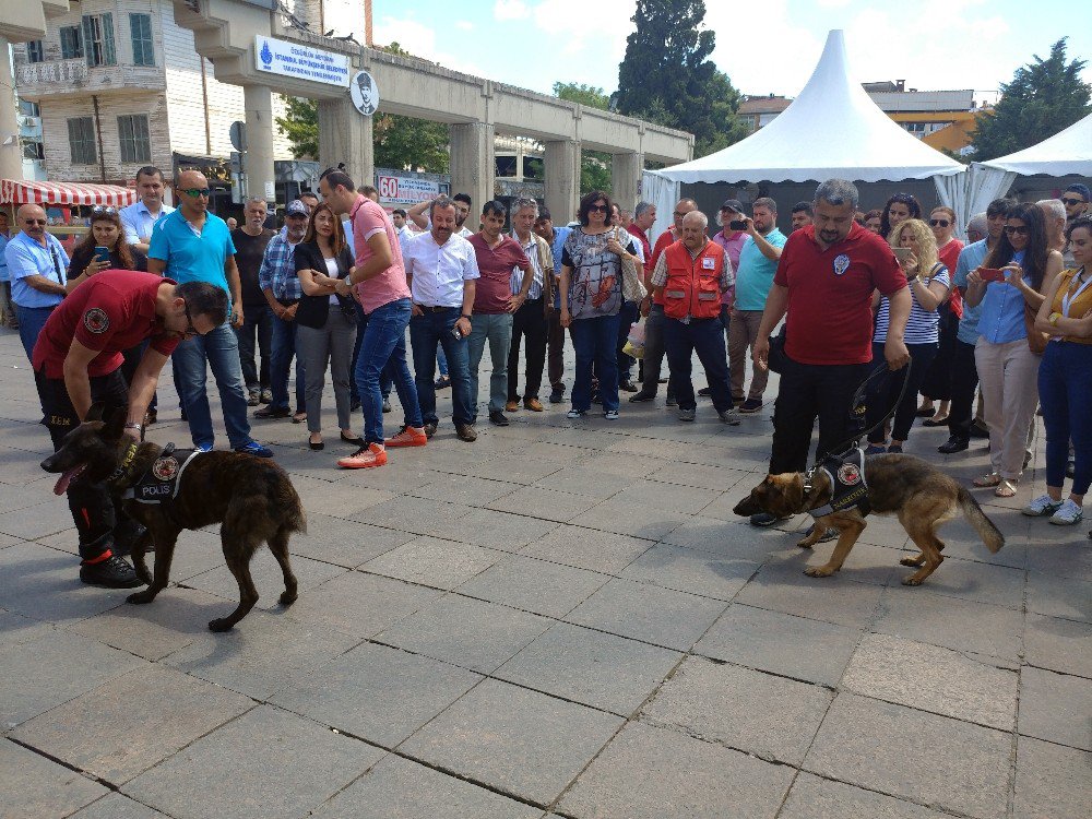 Narkotik Eğitim Tırı Bakırköy’de