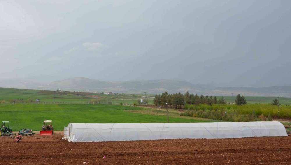 Adıyaman Üniversitesi Organik Üründe Çıtayı Yükseltiyor