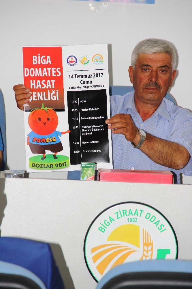 Biga’da Domates Hasat Şenliği Düzenlenecek