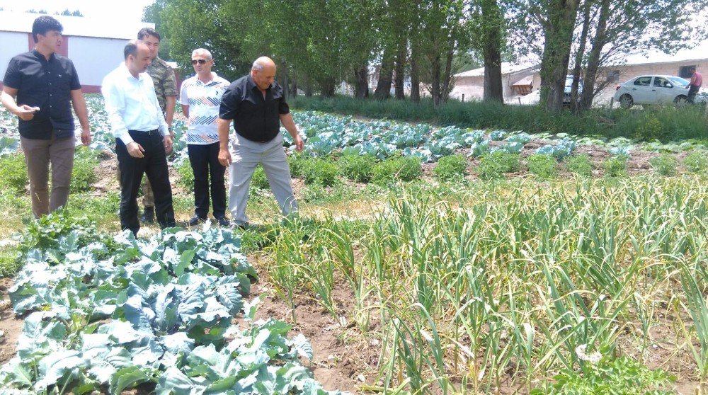 Pasinler’de Alternatif Ürün Sarımsak