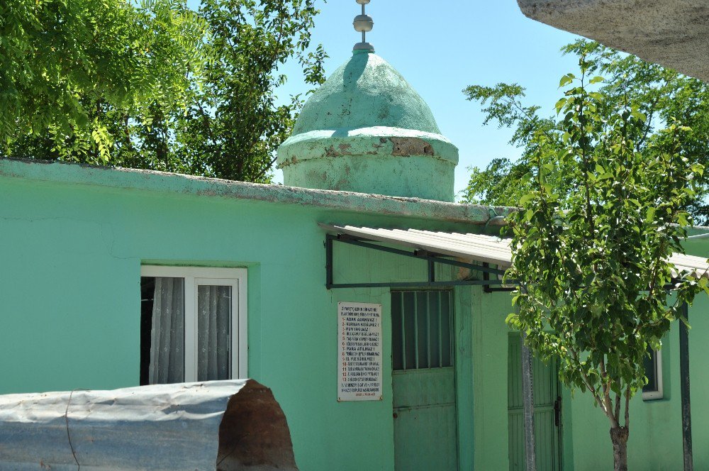 Şeyh Ali Baba Türbesi Bakım Ve Onarım Bekliyor