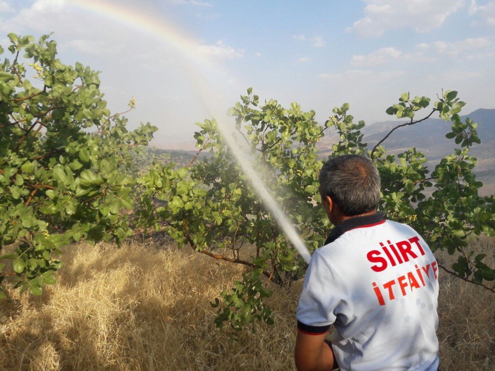 Siirt’te Yangın Fıstık Ağaçlarına Sıçramadan Söndürüldü